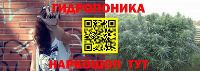ECSTASY Краснознаменск
